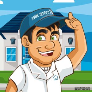 professional home inspector